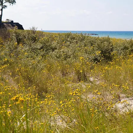 Lütthus Сasa de vacaciones *